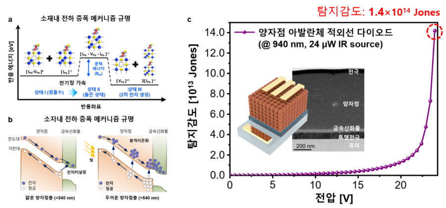 양자점 소재(a) 및 소자(b)에서의 아발란체 전하 증폭 메커니즘 개요도