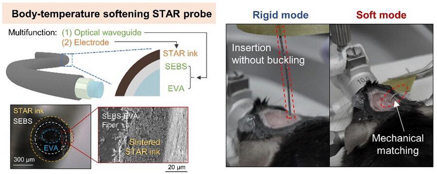 EE Prof. Jae-Woong Jeong’s Team Develops Electronic Ink for Room-Temperature Printing of High-Resolution, Variable-Stiffness Electronics 5 images 000098 Image 04 900