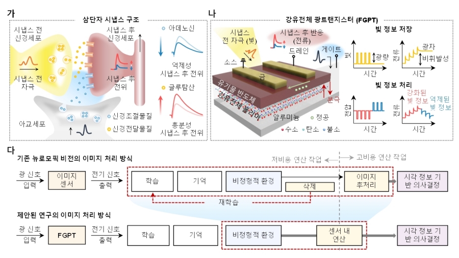 송영민 교수팀, 인간의 신경구조에서 착안한 AI 이미지 센서 개발 2 image01