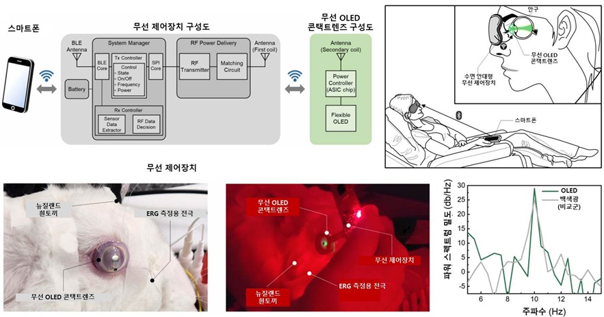 Professor Seunghyup Yoo’s Team Develops World’s First OLED Contact Lens for On-Eye Electroretinography 3 2. 무선 OLED 콘택트렌즈를 활용한 망막전위도 검사 시스템의 모식도 등