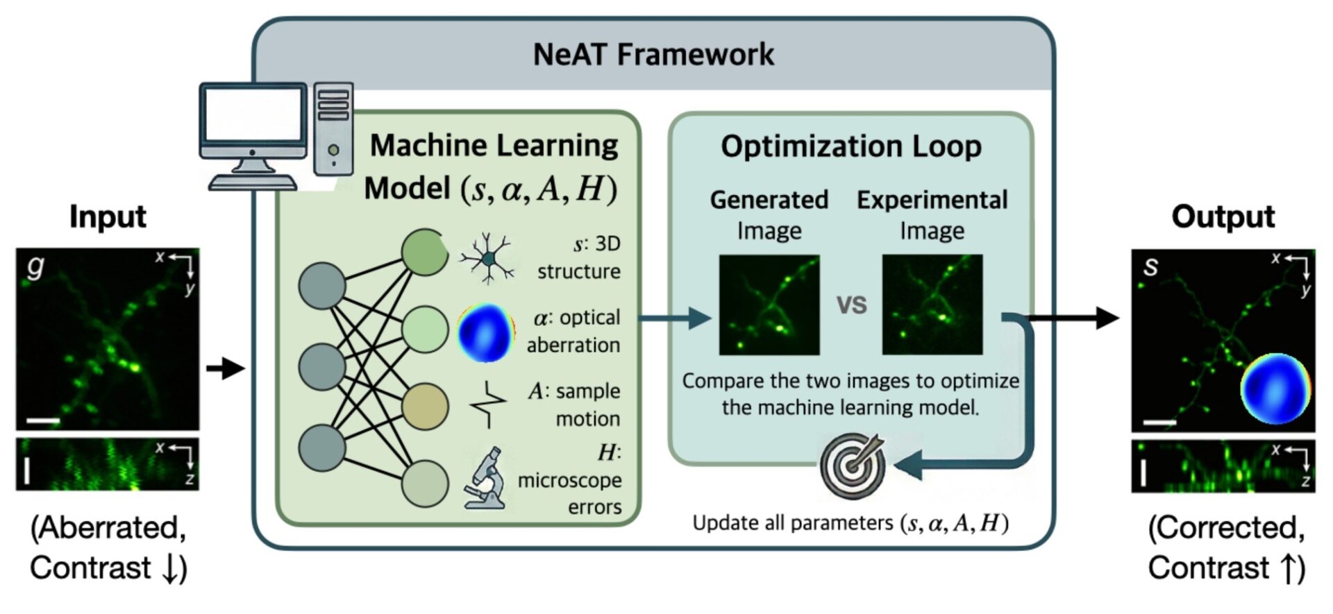 Framework for Integrated Distortion Correction in Two Photon Fluorescence Microscopy